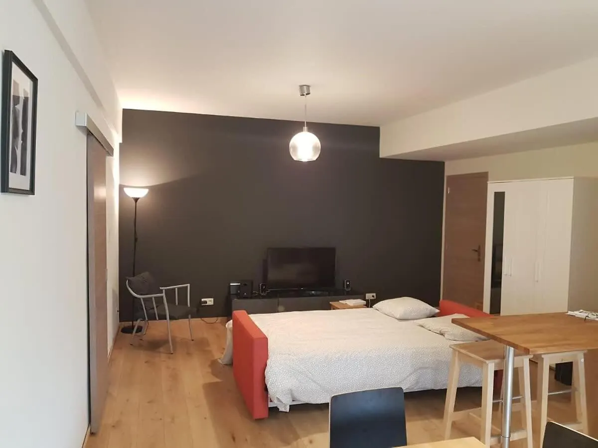 Renovated One Bedroom Apartment Schuman Area Brussels