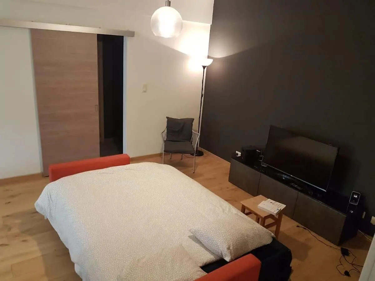 Renovated One Bedroom Apartment Schuman Area Brussels